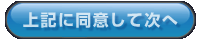 上記に同意して次へ